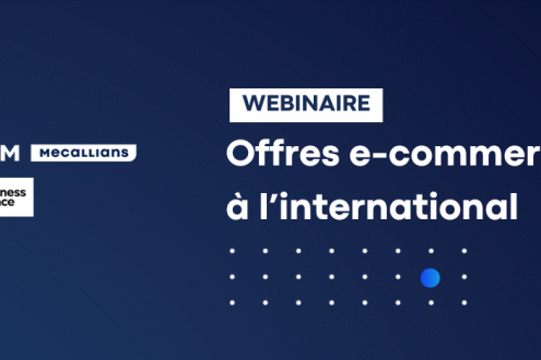 Webinaire FIM & Business France : offres e-commerce à l'international